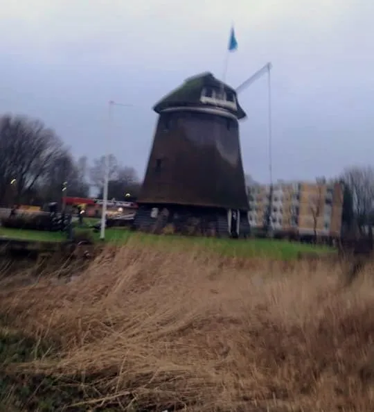 aries molen