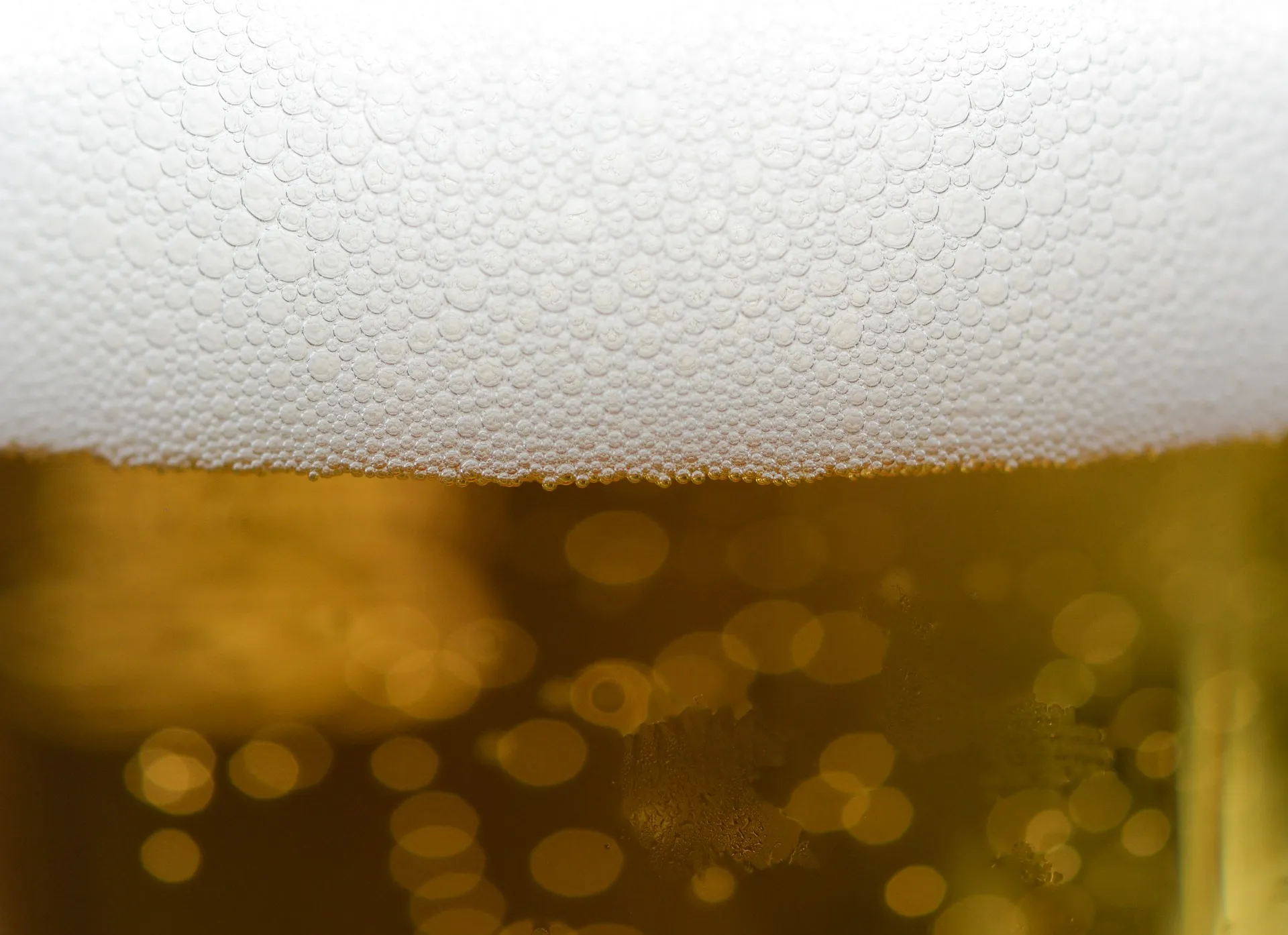 beer 3510404 1920