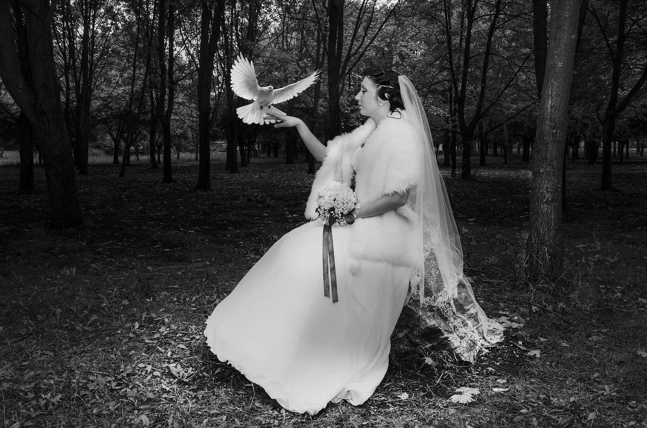 bride 433647 1280
