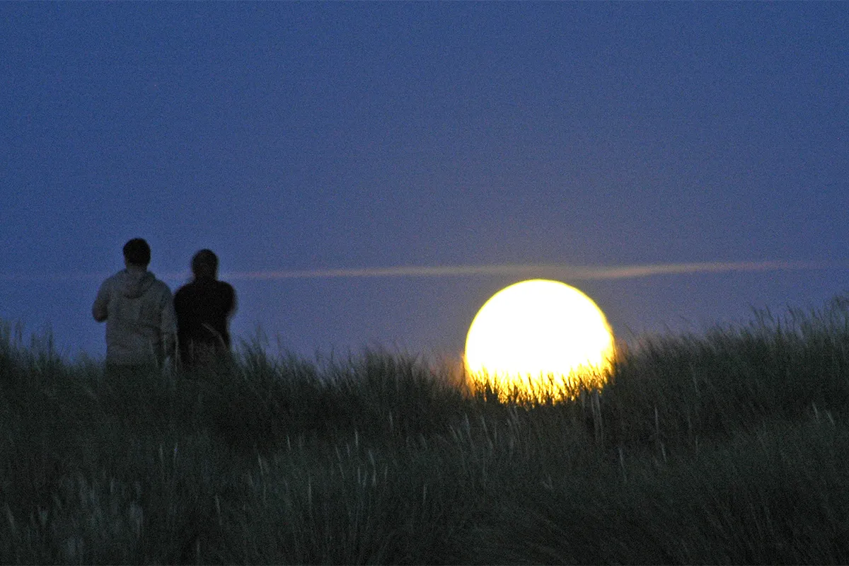 foto 4 jan koeman nachtvdnacht