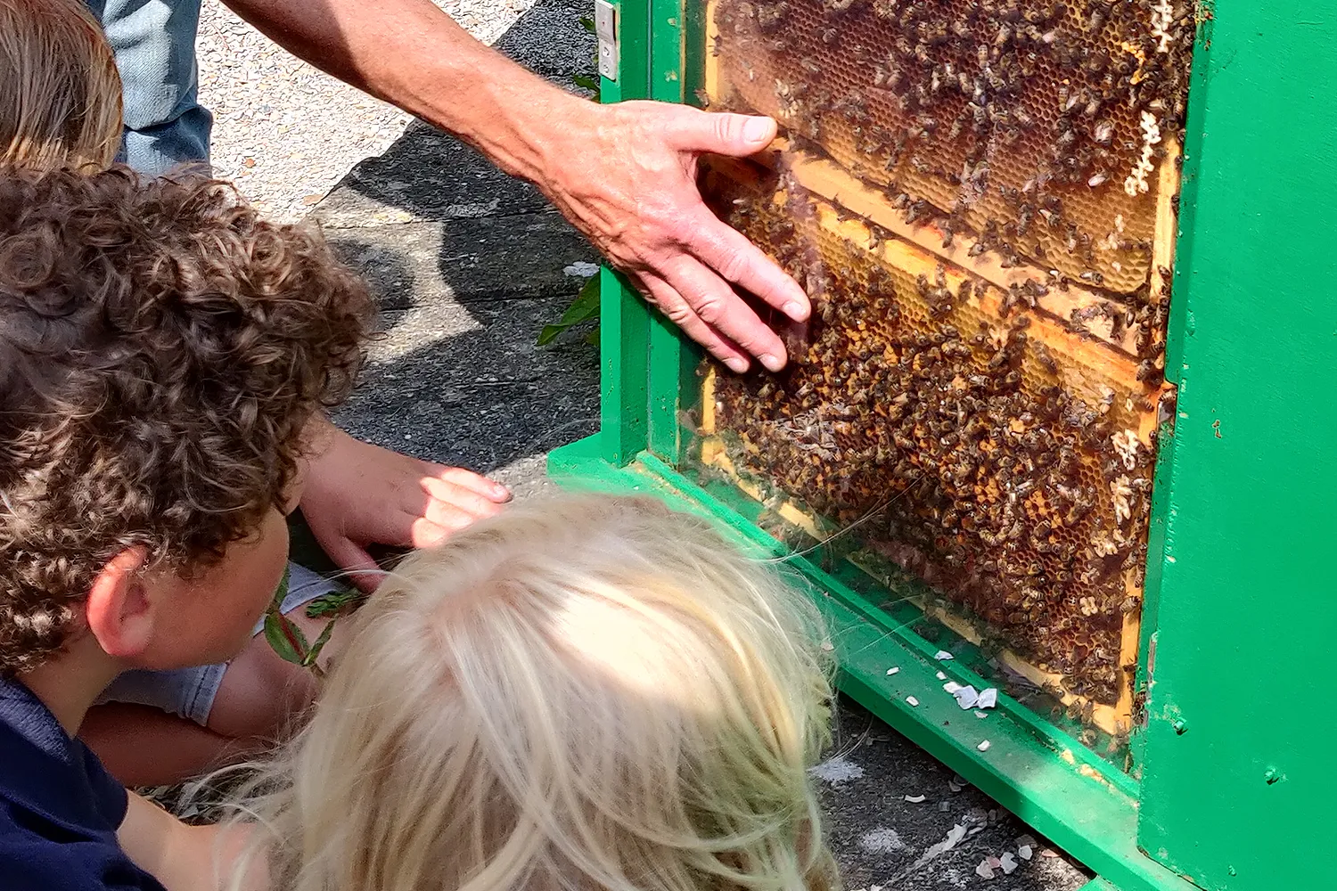 img 20210711 155718 1