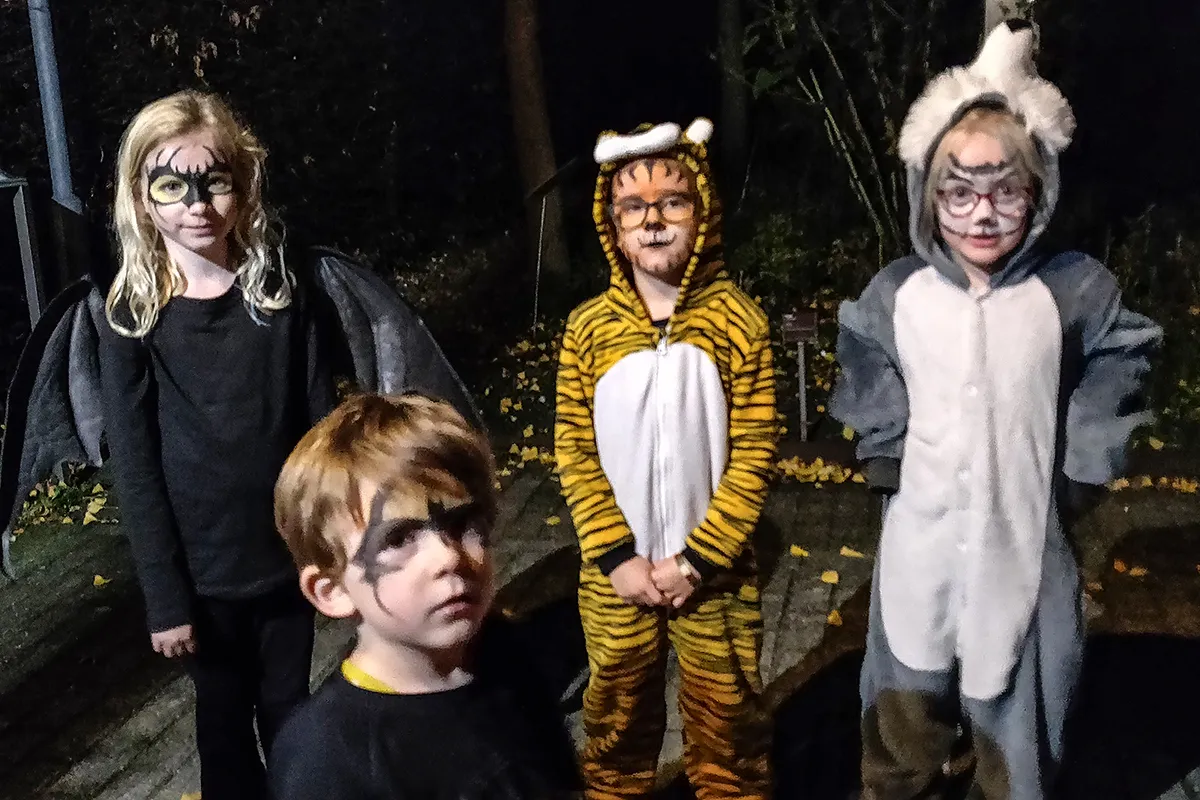 img 20221029 191635 kopieren