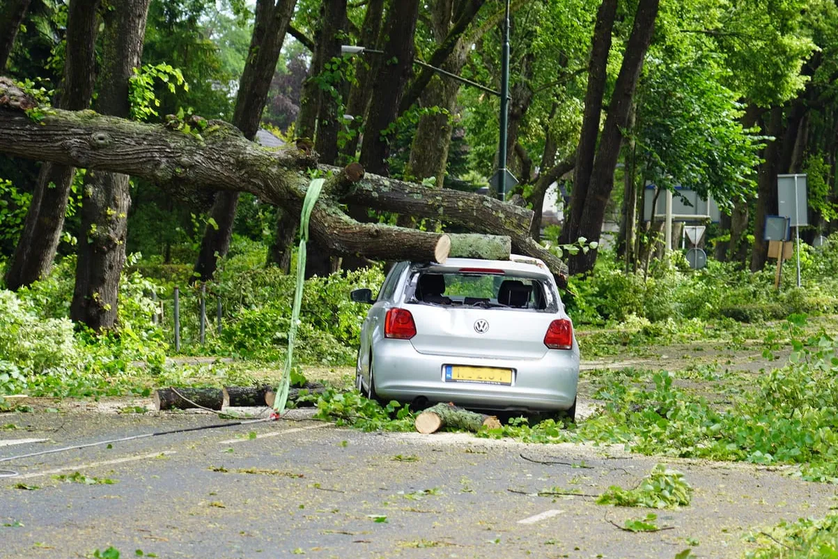 img 20230705 wa0090 kopieren