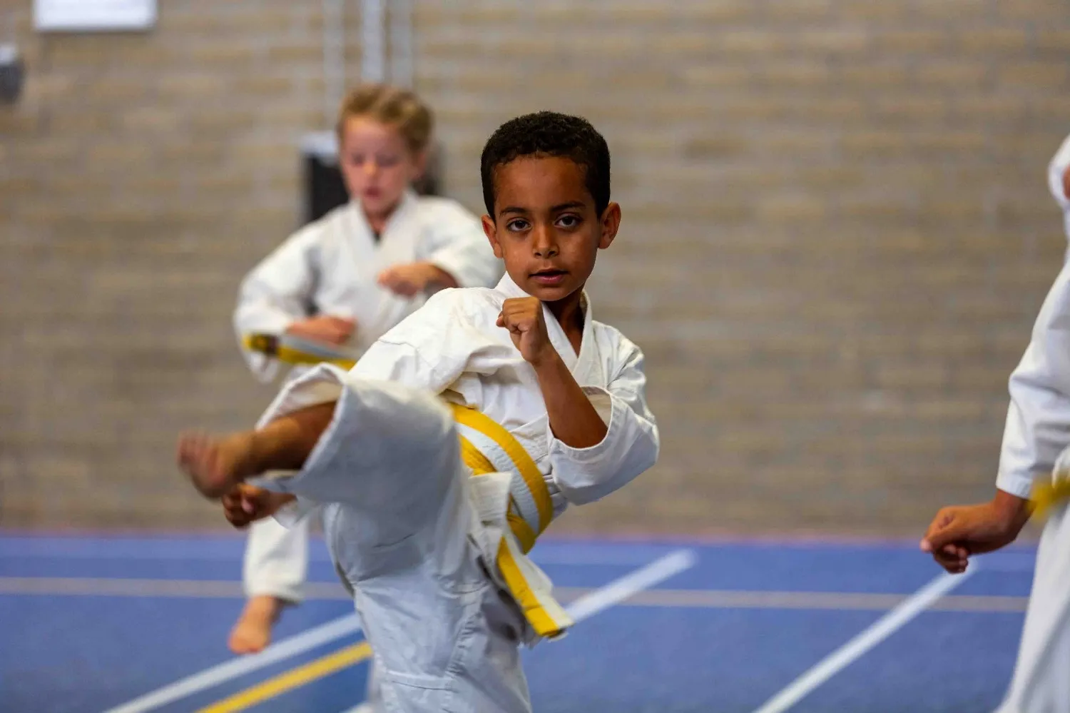 karate afbeelding jongen