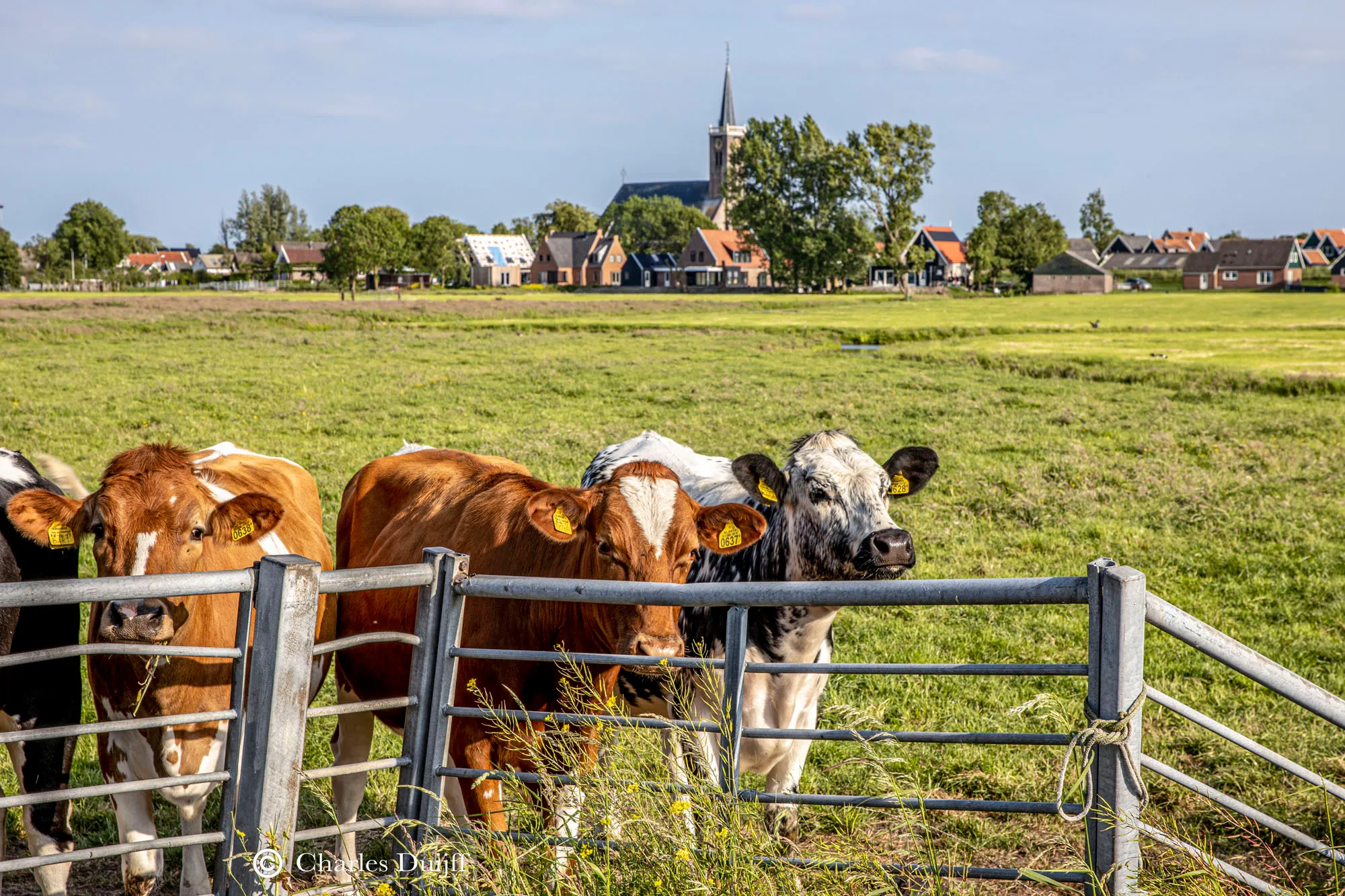 landschappelijk