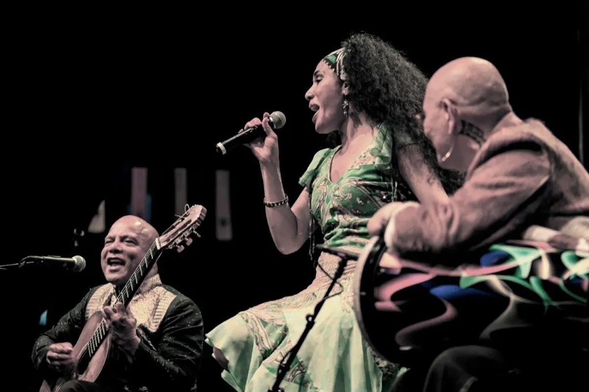 noyalohynoya kopieren