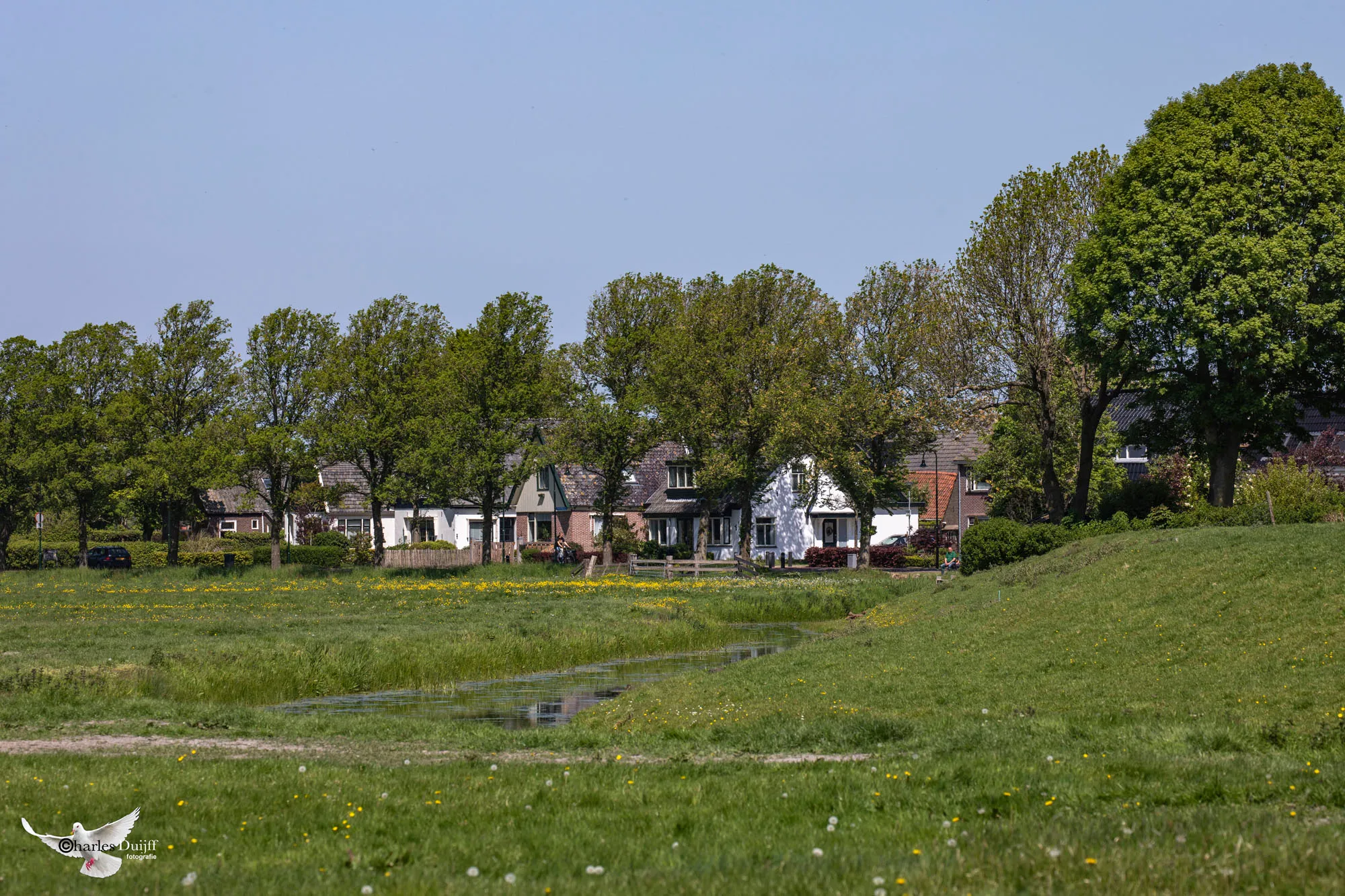 oterleek8