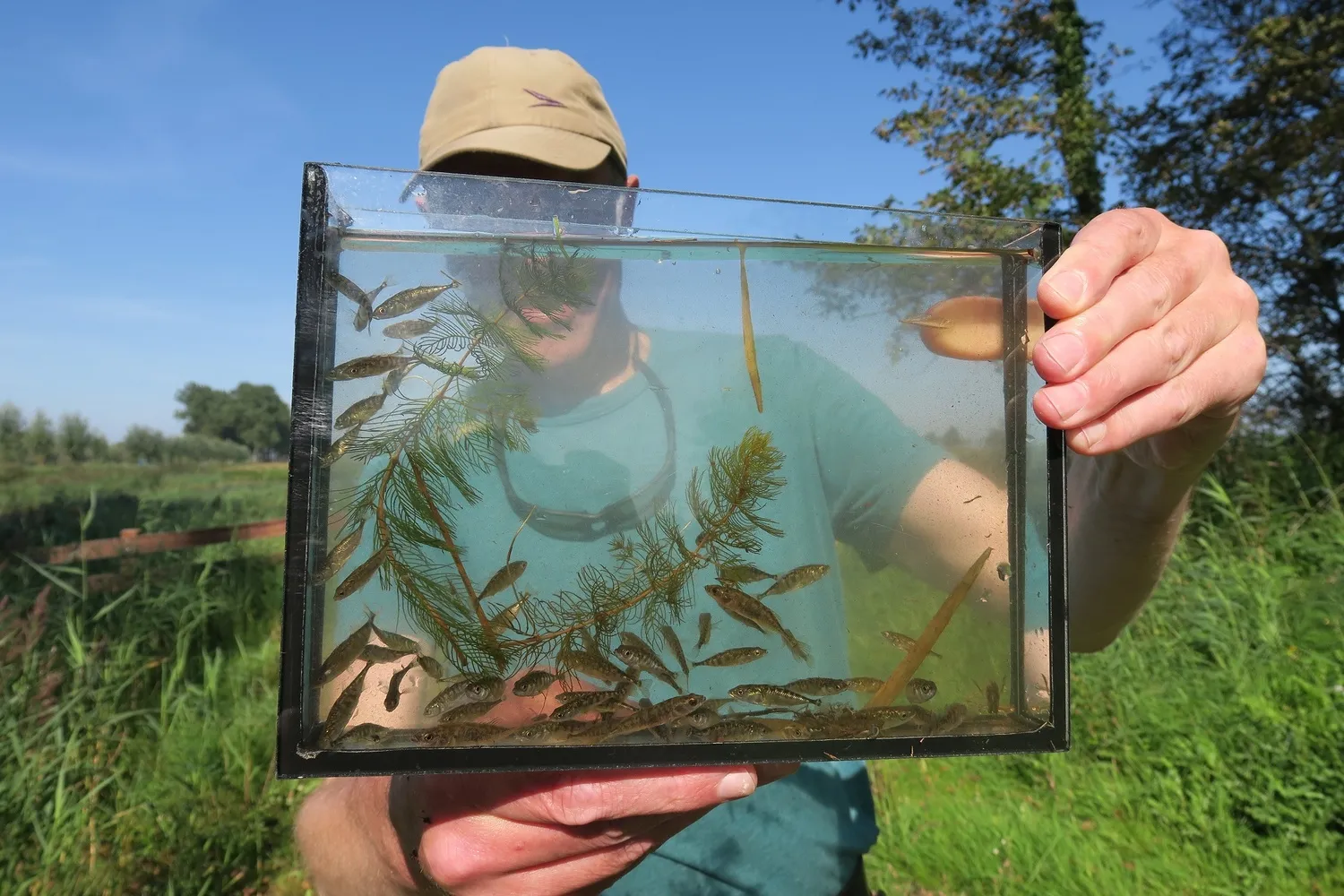 pb 11 wereld vismigratiedag 1