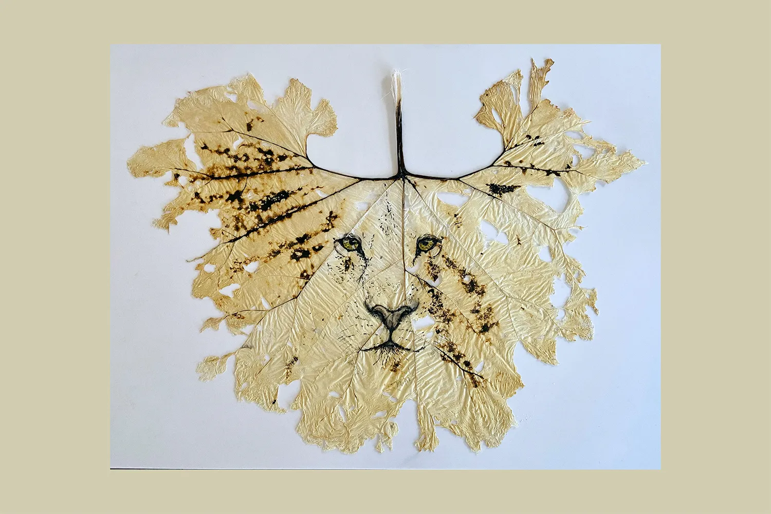 reynisdottir leeuw 2022 b