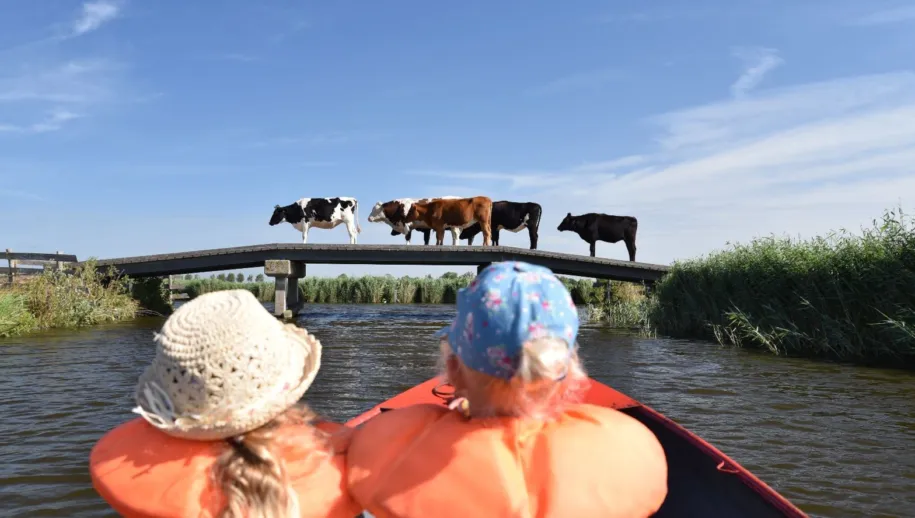 schermafbeelding 2019 07 31 om 153201 915x518