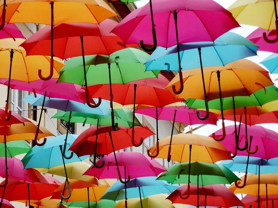 shade tree colorful umbrella umbrellas colorful 2780390
