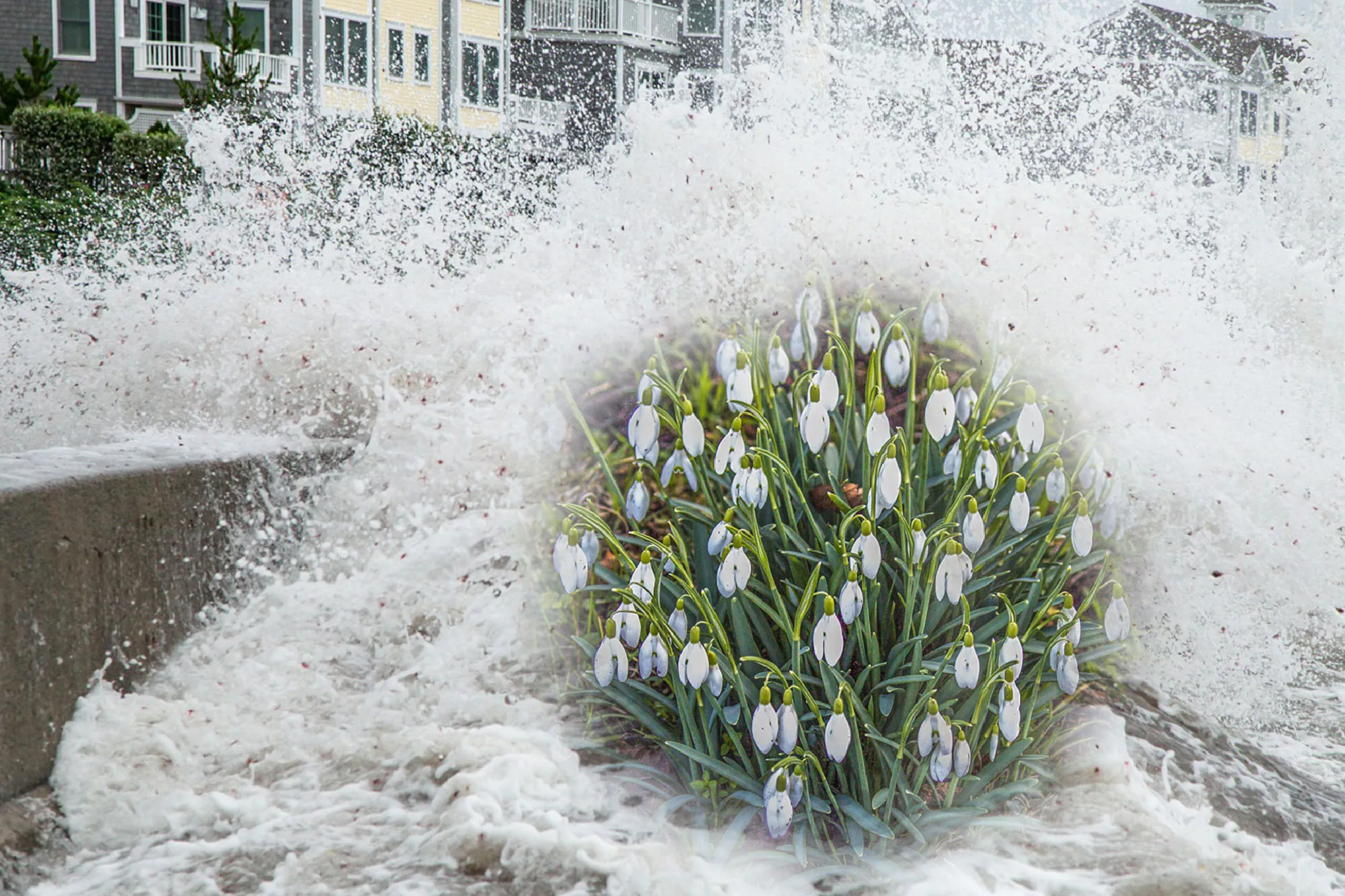 storm surge g5a1a36246 1920