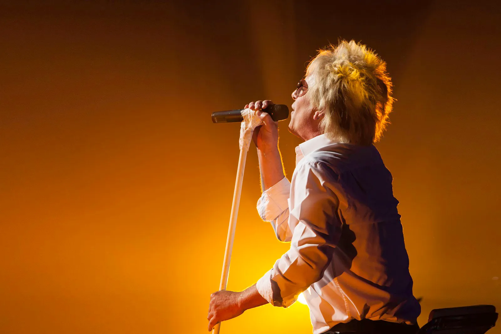 the rod stewart story