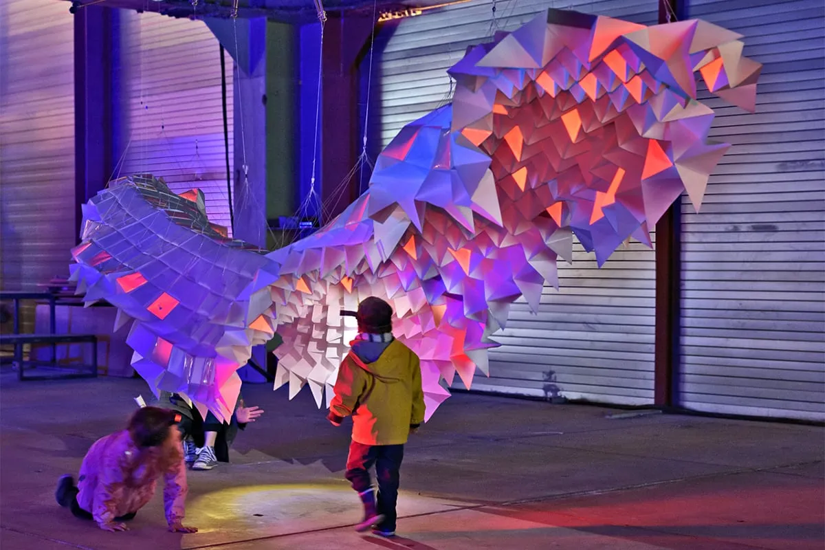 tomopteris magna ana oosting medium