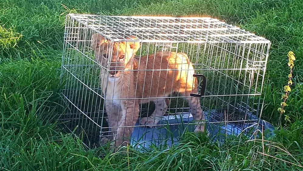 twitter politie utrecht