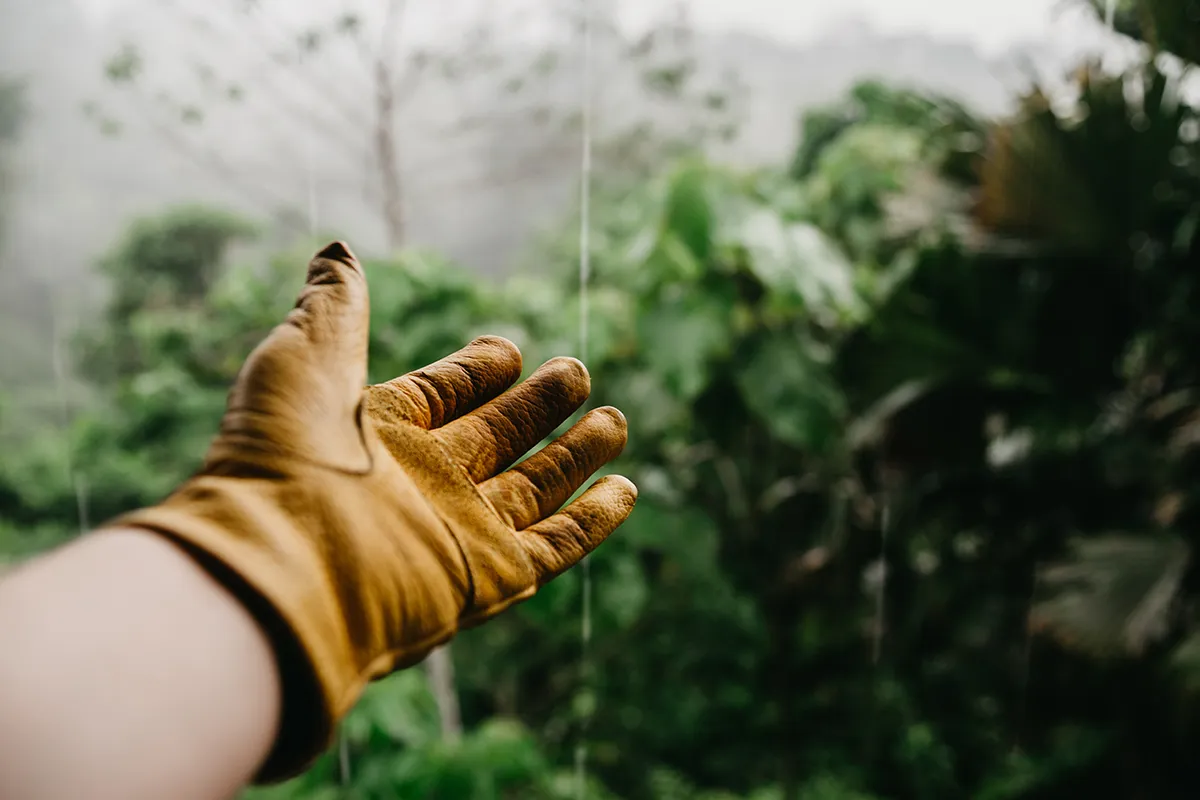 vince fleming 613819 unsplash