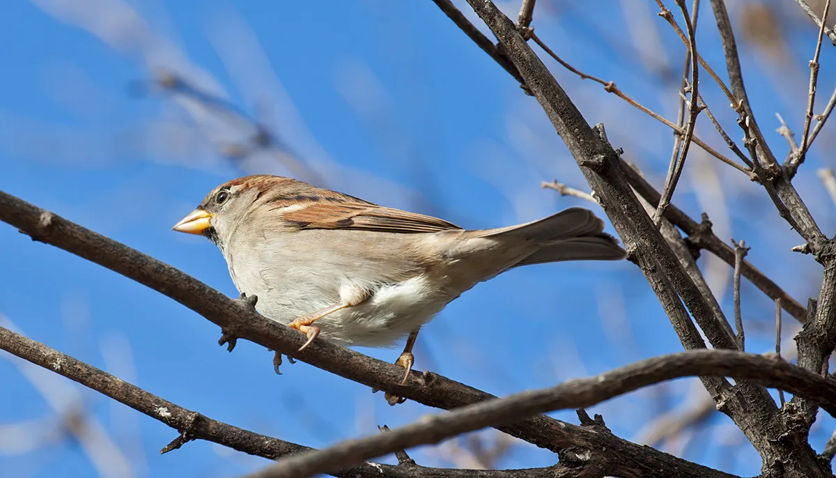 wim meijer fotografie mg 9407