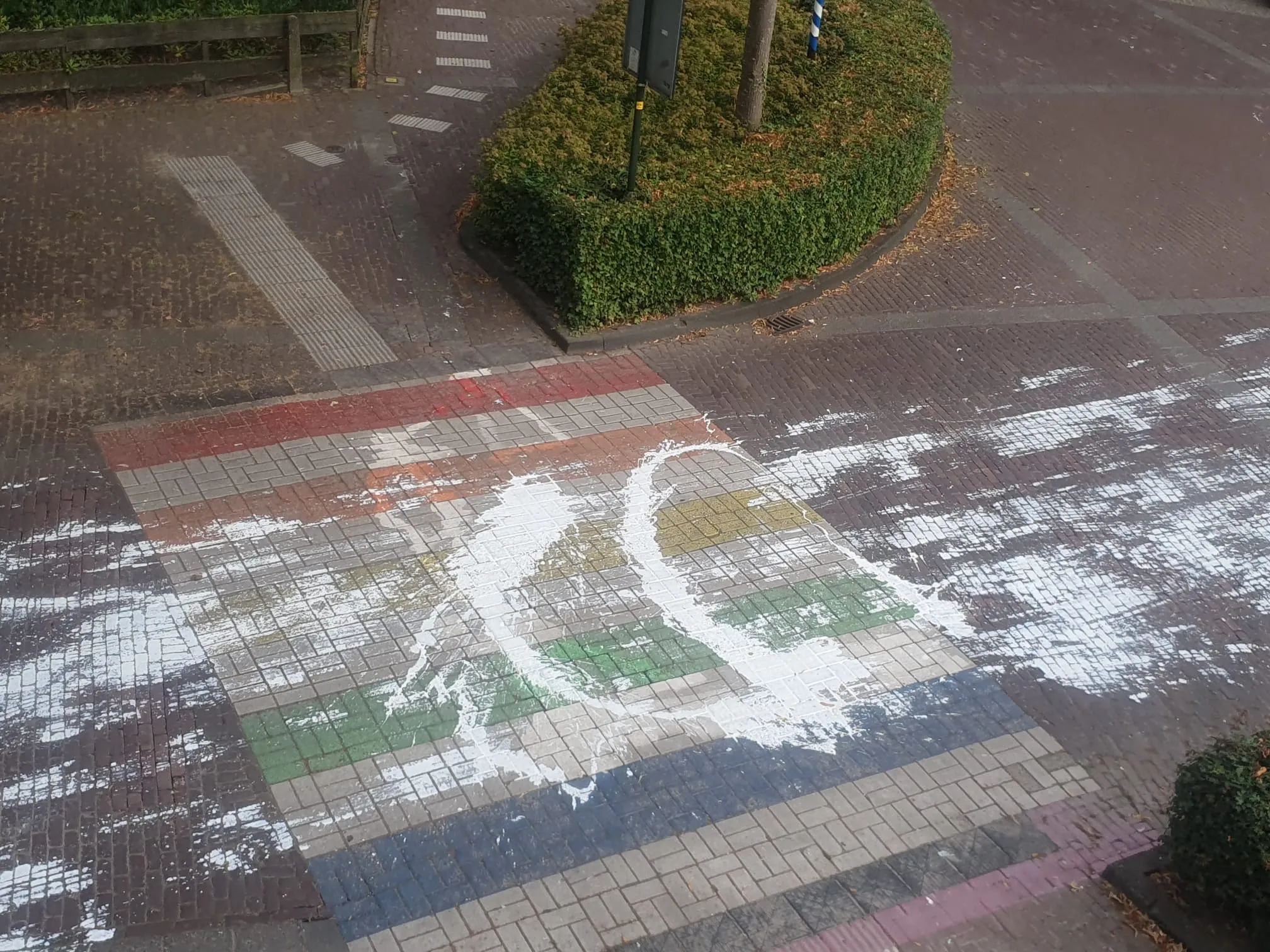 zebrapad4