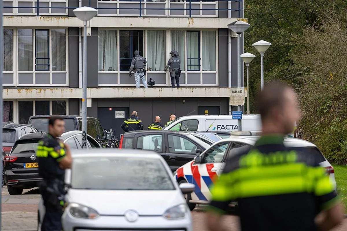 20241029 alkmaar 08