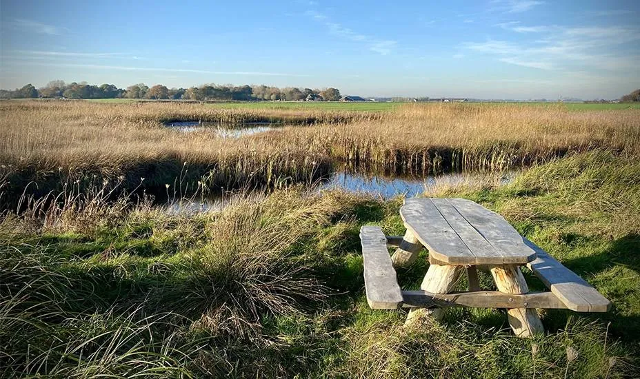 928x550 Provincie investeert in natuur Zuurvenspolder bij Bergen (1)