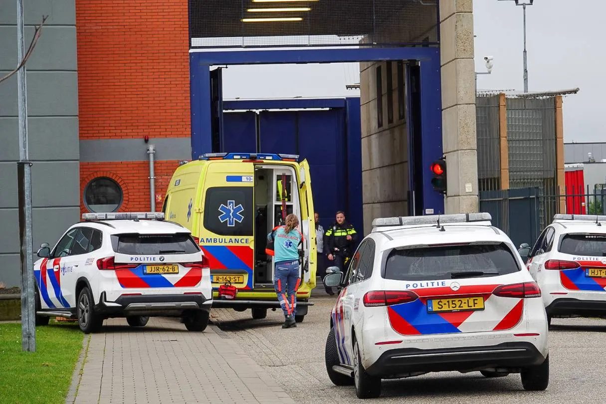 MWH05458_resized kopiëren