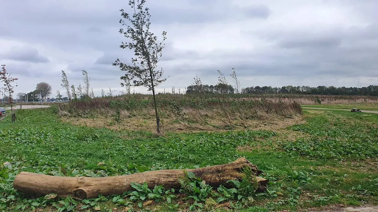 20211027-144518-natuurbegraafplaats-wim-meijer-fotografie