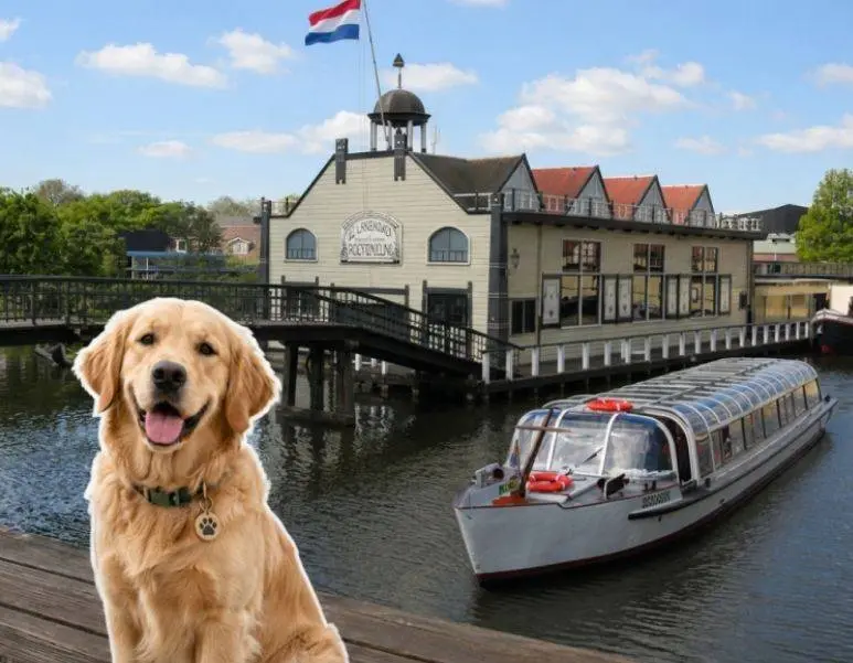 int honden dag mbv