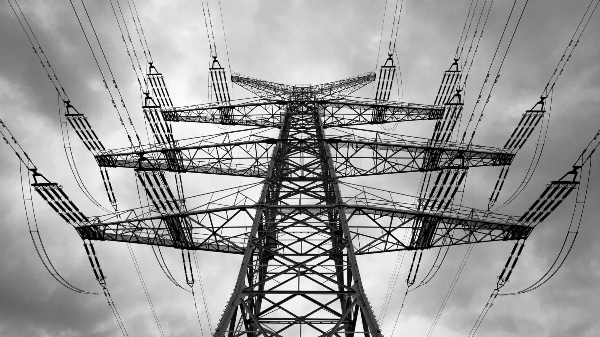 netcongestie prov flevoland