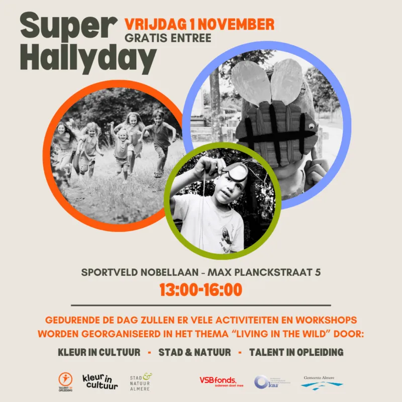 super hallyday almere kleur in cultuur