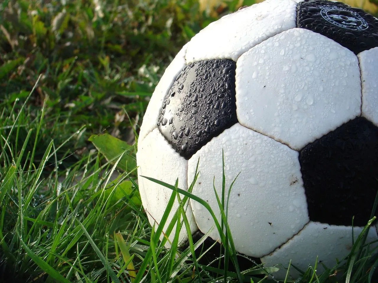 voetbal op veld pixabay