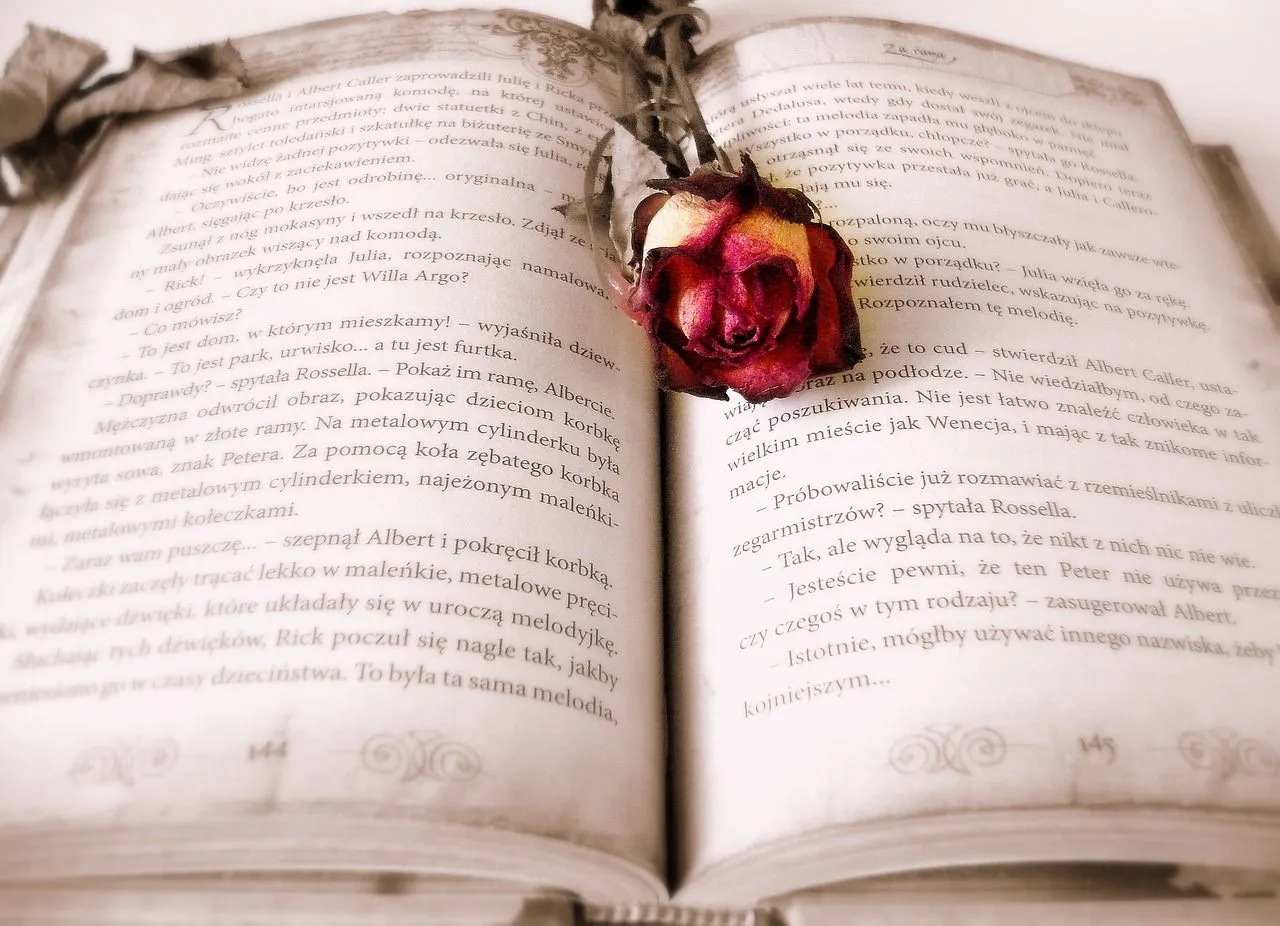 boek pixabay