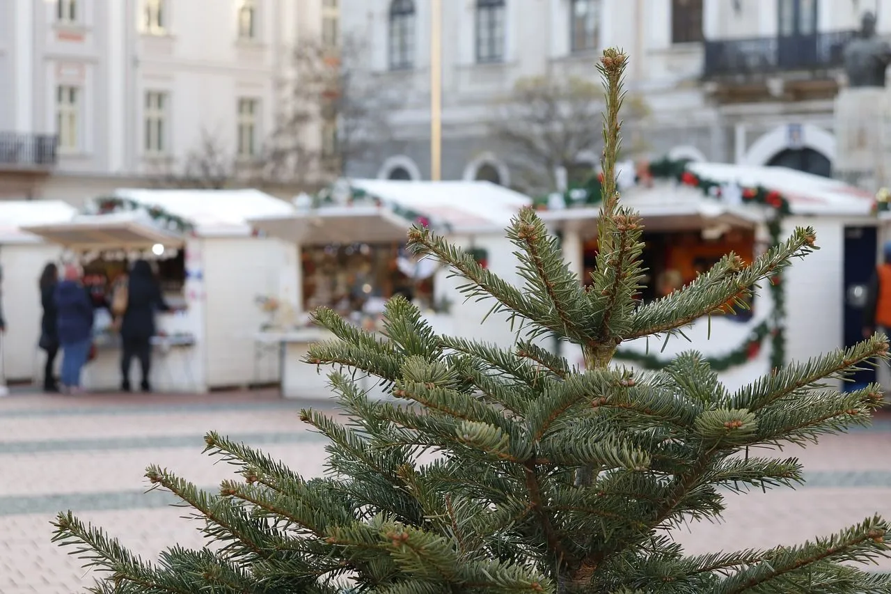 kerstmarkt viorel vasadi via pixabay