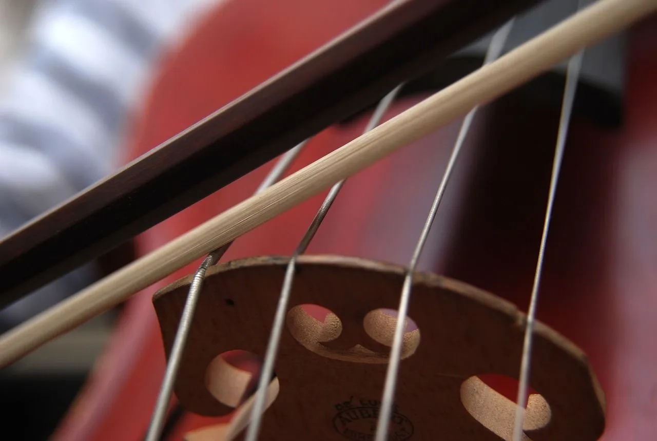 klassieke muziek seget via pixabay