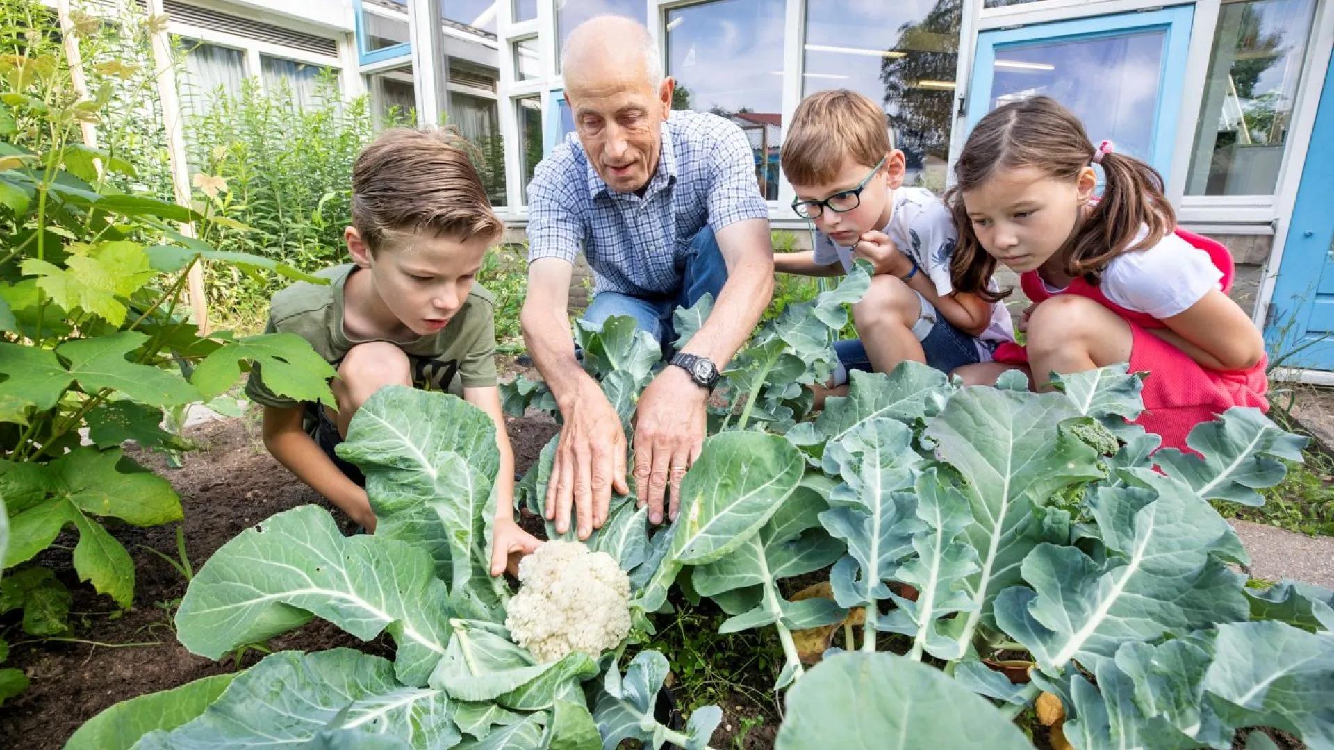 moestuinieren ivn