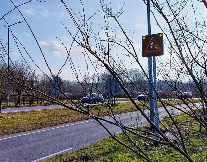 wildsignalering bord steigerdreef gem almere