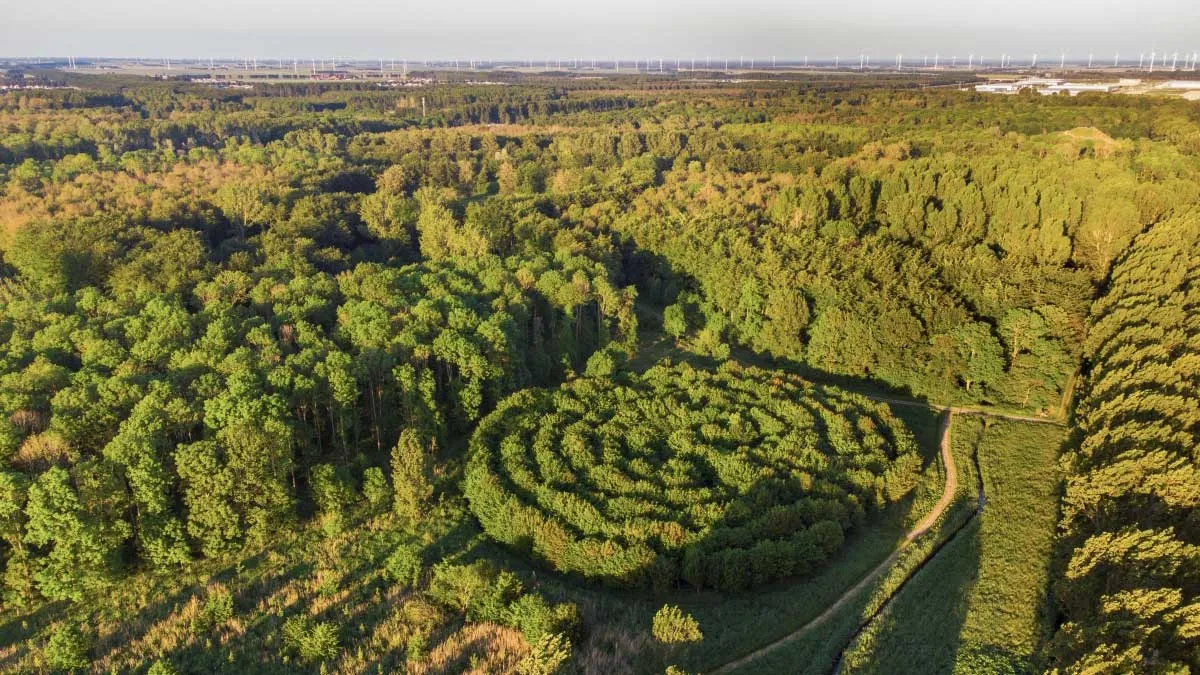 boswachterspad museumbos labyrint staatsbosbeheer