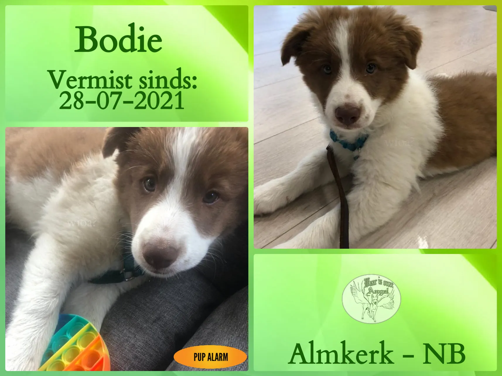 221748349 4449264755108913 5708630015452086916 n