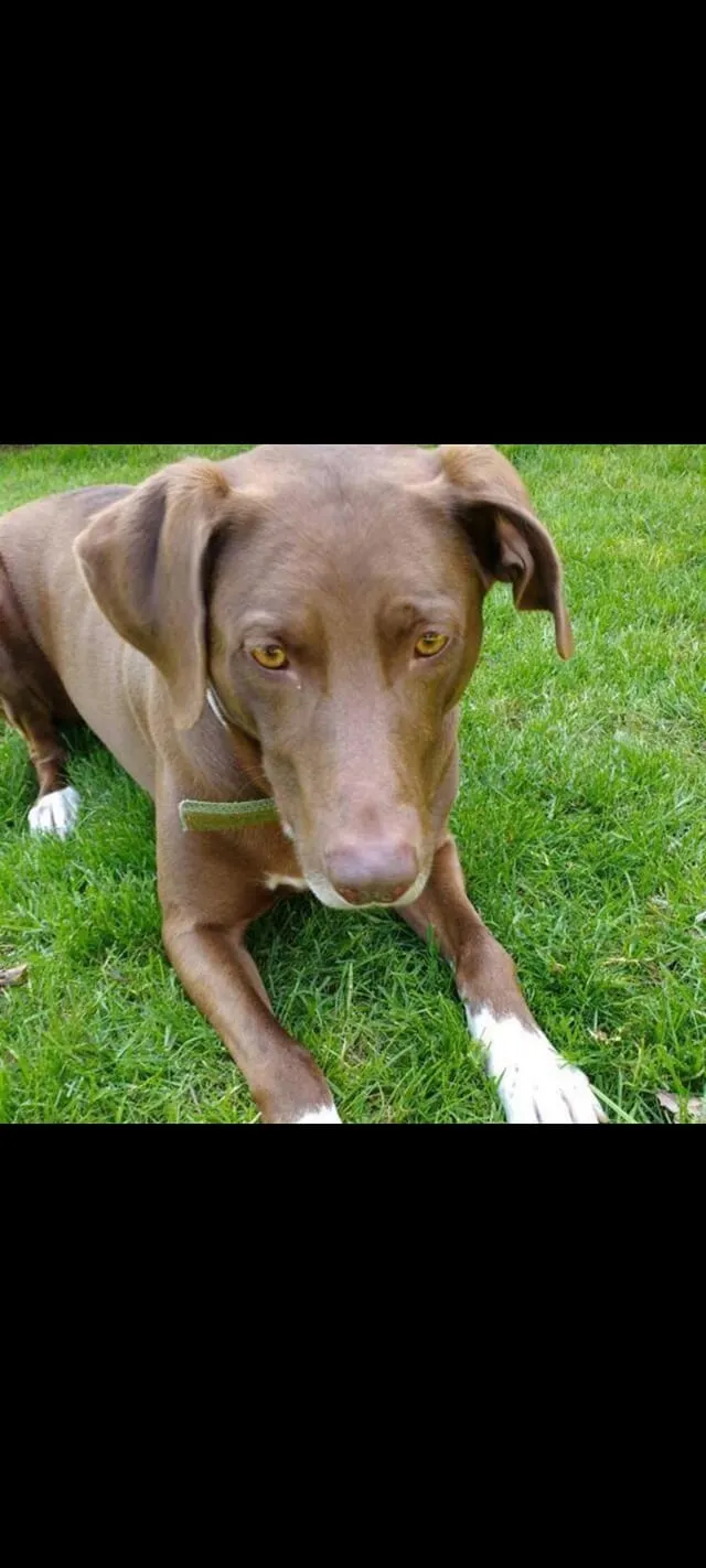 227409008 4119629058085744 3112850977720650790 n