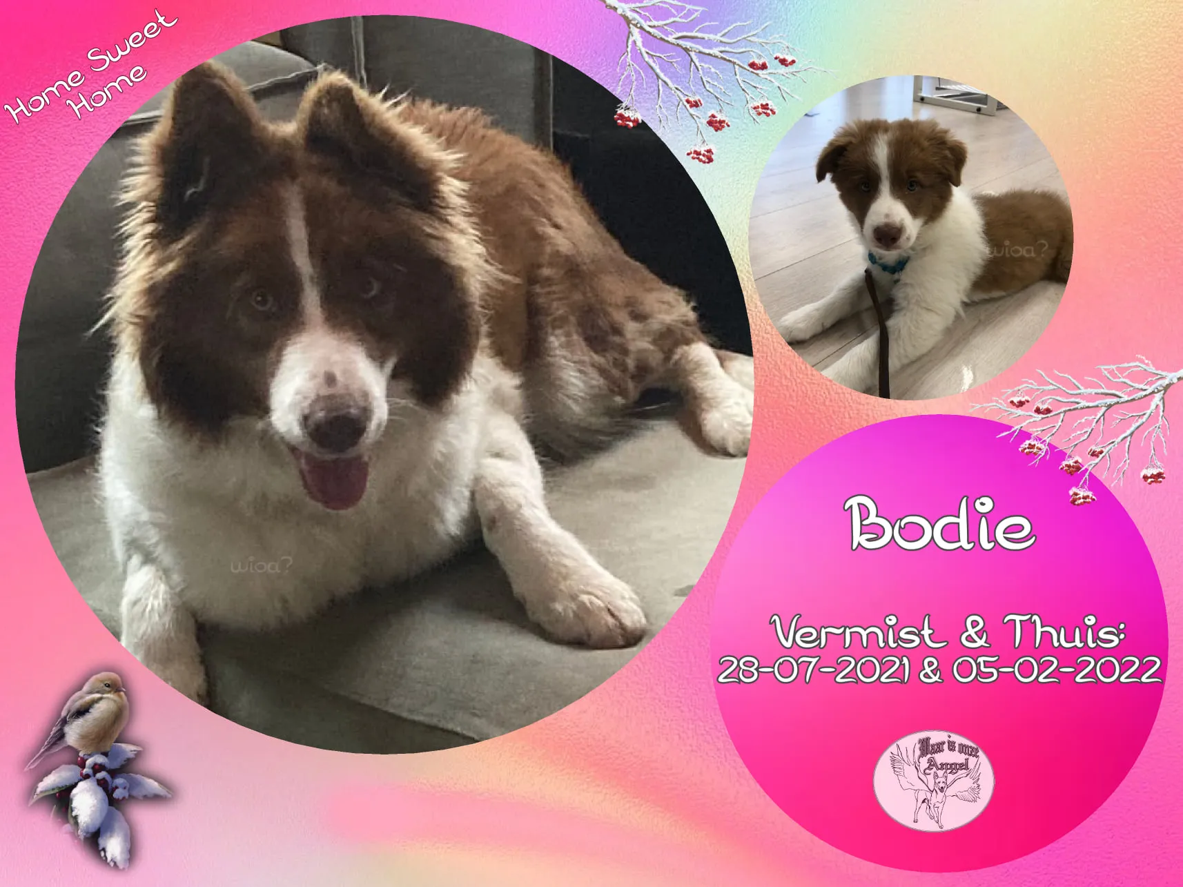 273402176 5095660560469326 137693443623512600 n