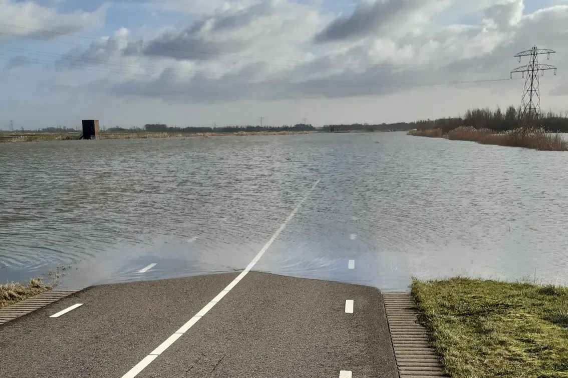 274042246 1937830829732375 7518575931771778957 n