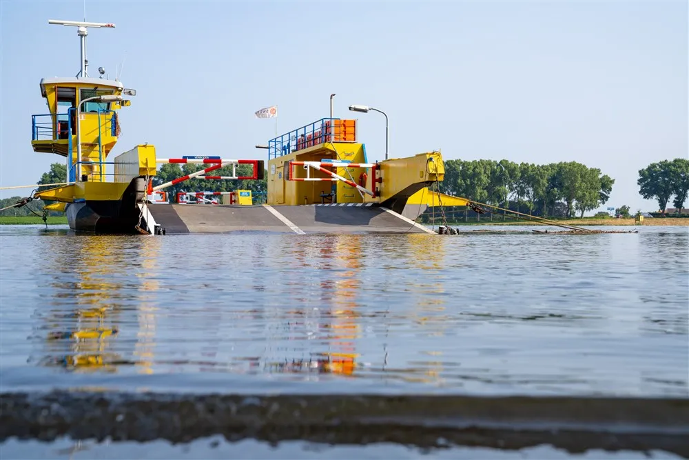 58cd17d8 8a46 41dc 9058 c806dac1e10d