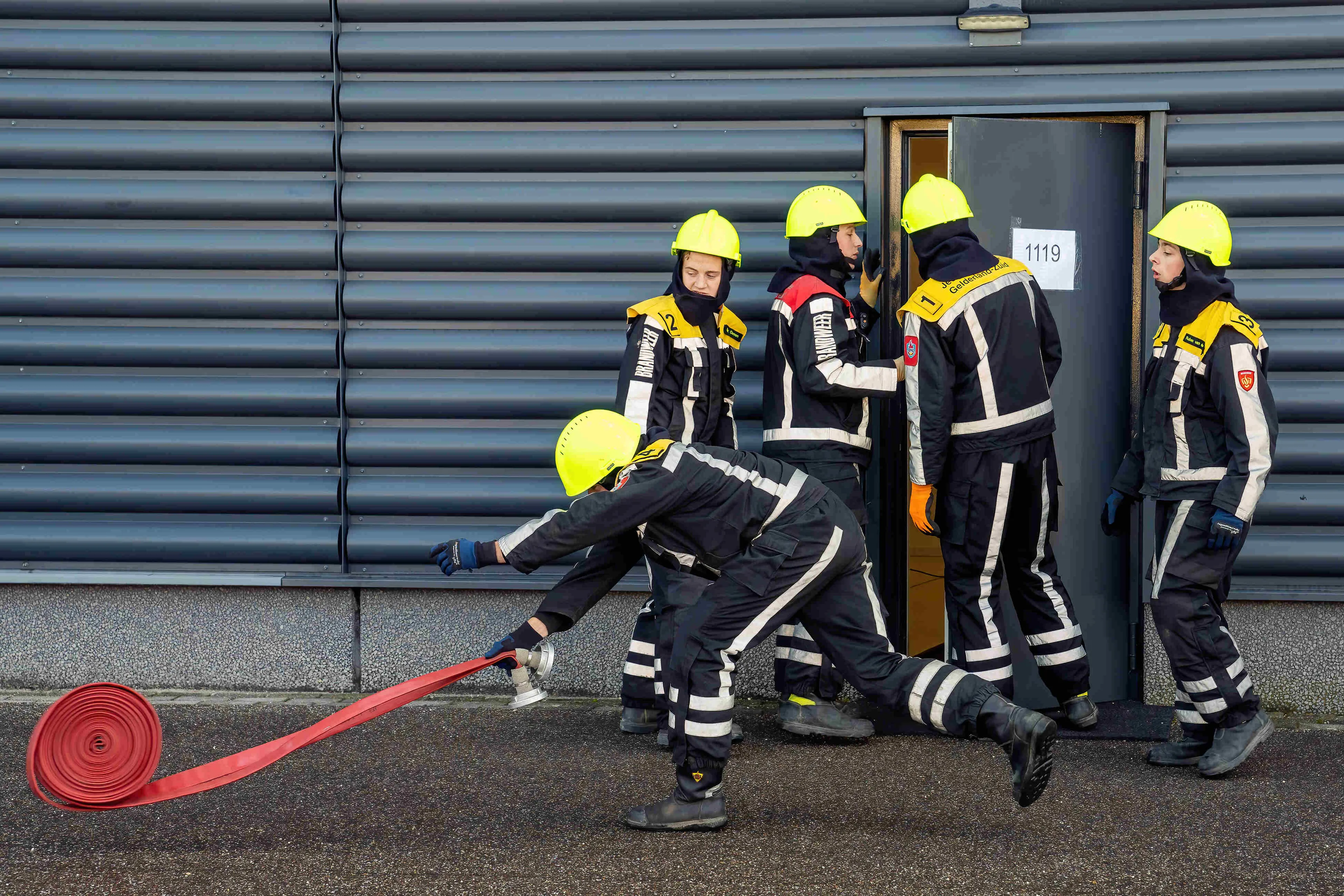 avp00189 denoiseai standard 2