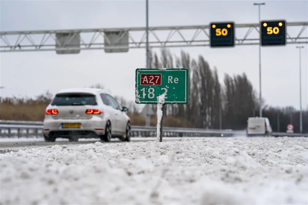 download scaled 1000x1000 23487