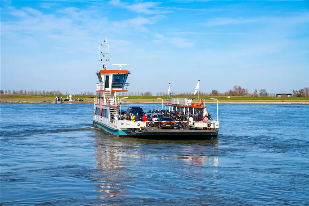 download scaled 1000x1000 26557