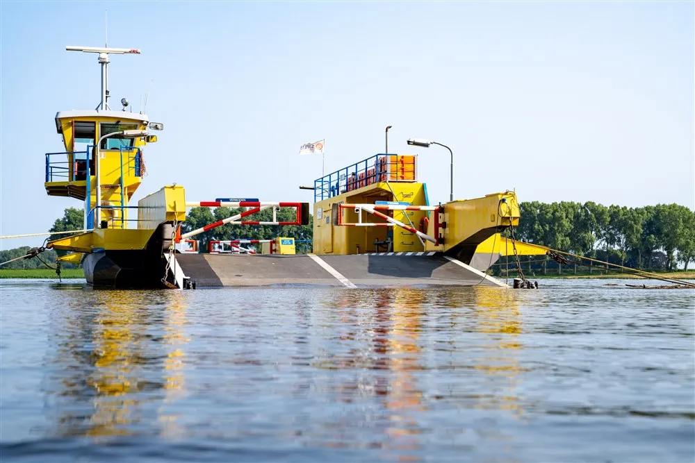 download scaled 1000x1000 52210