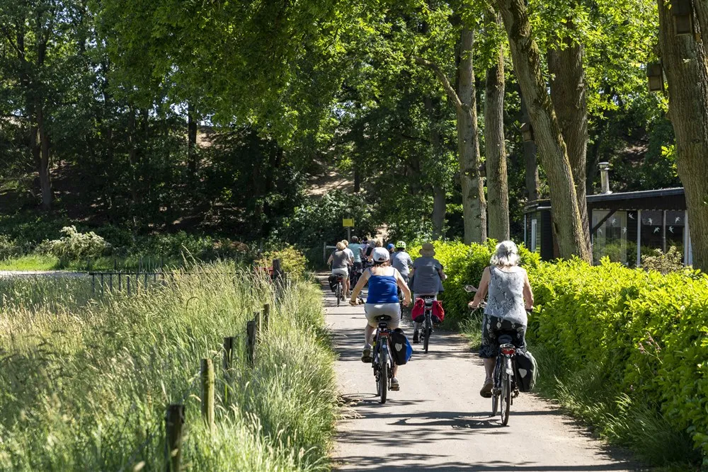 download scaled 1000x1000 68557