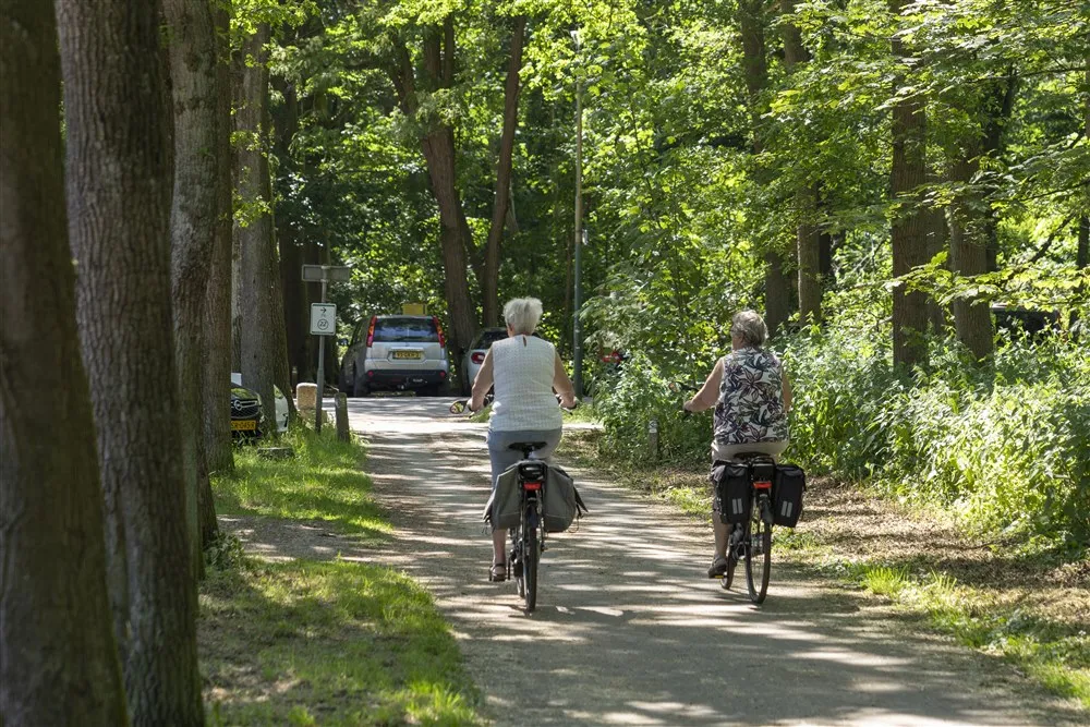 download scaled 1000x1000 68558