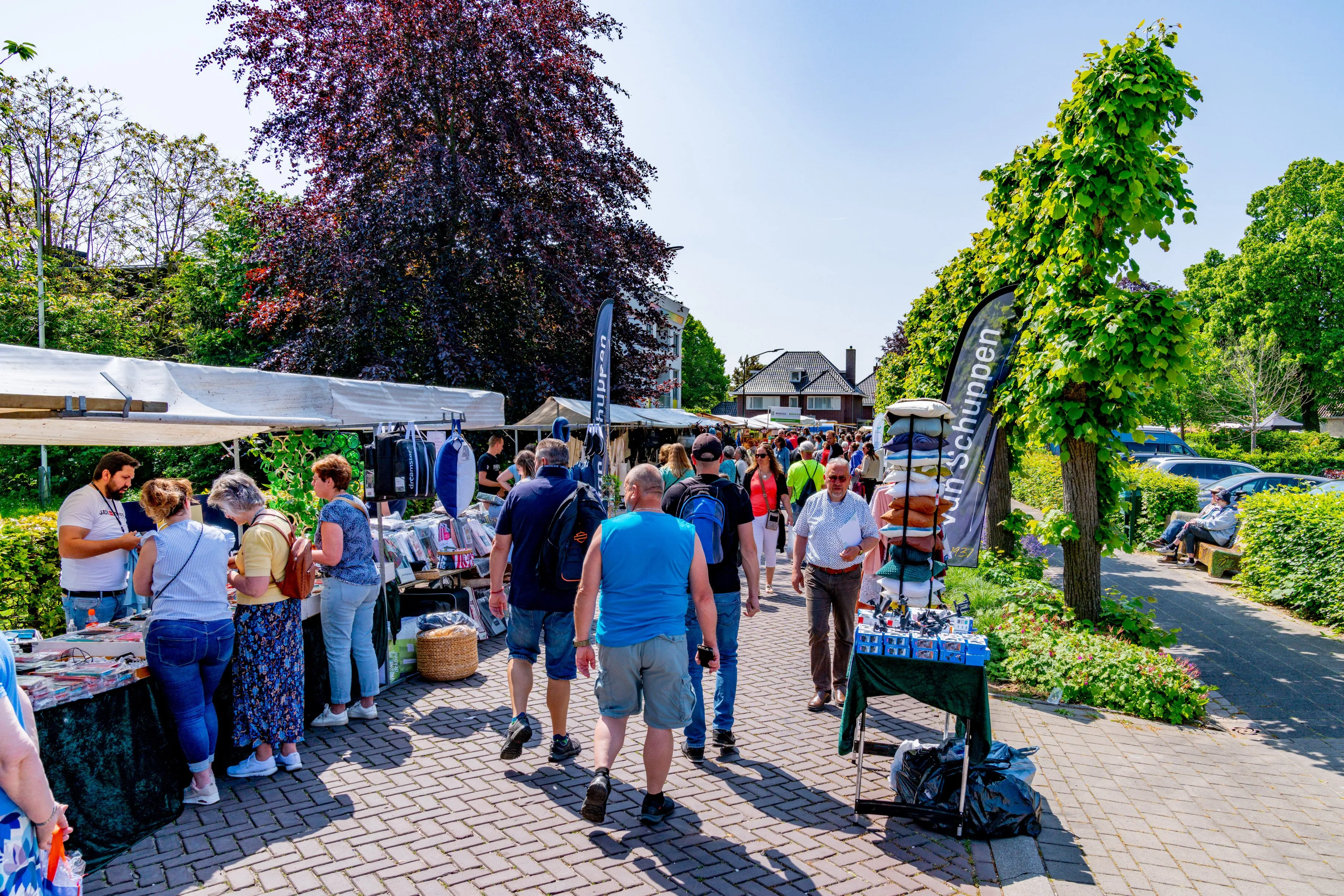 dsc08566 verbeterd sr