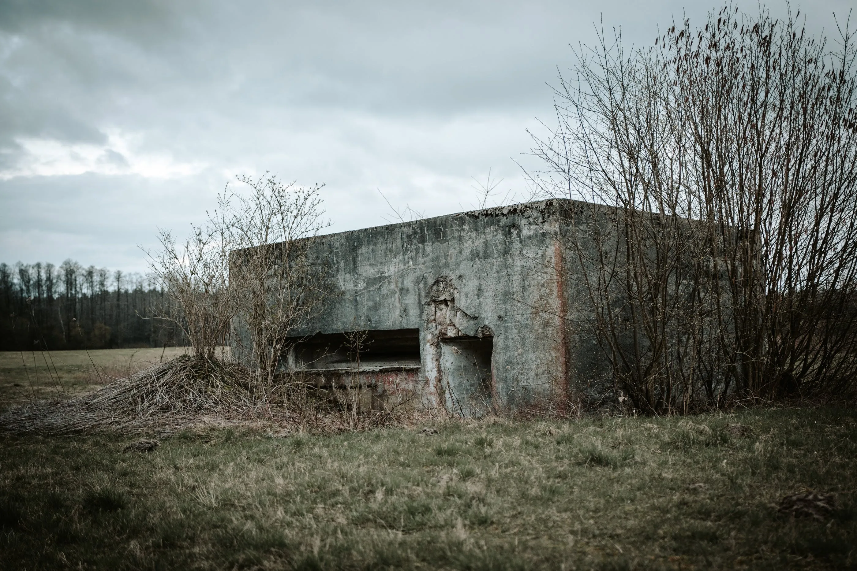 pexels freemockupsorg 16220975