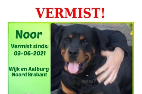 schermafbeelding 2021 06 09 om 134534